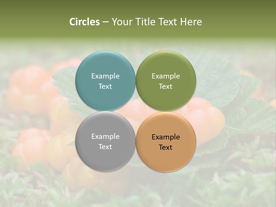 A Group Of Orange Berries Sitting On Top Of Green Leaves PowerPoint Template