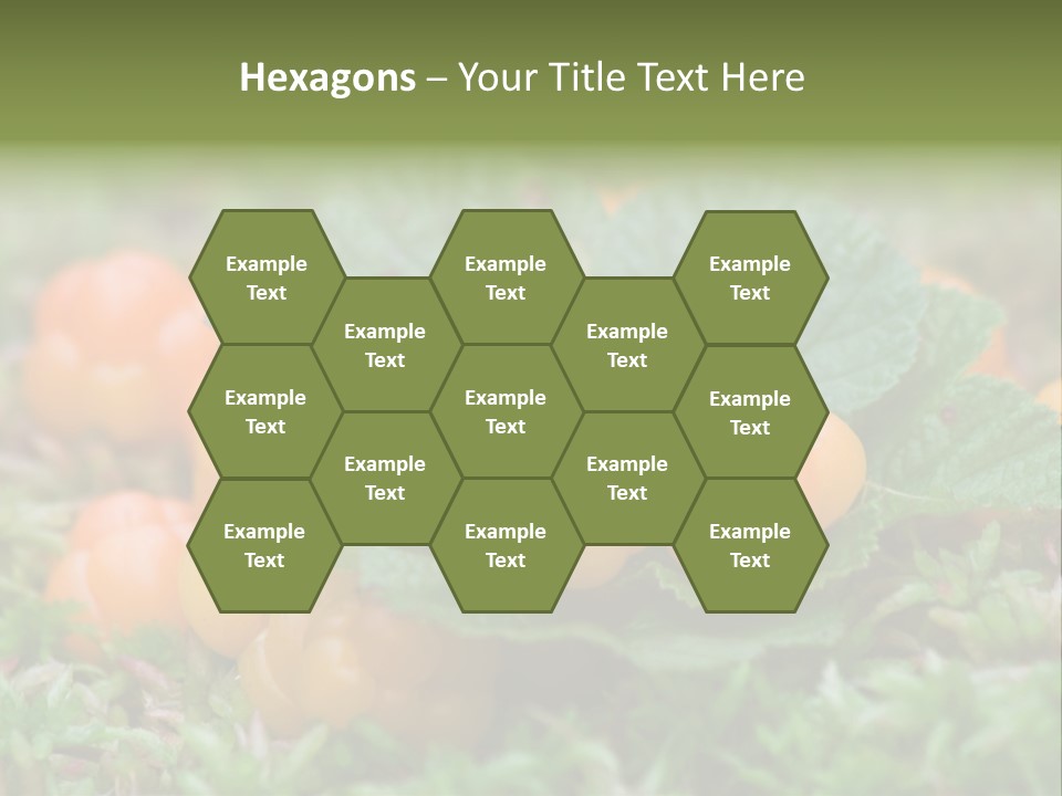 A Group Of Orange Berries Sitting On Top Of Green Leaves PowerPoint Template