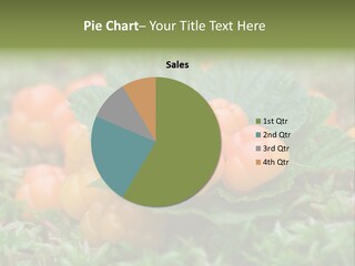 A Group Of Orange Berries Sitting On Top Of Green Leaves PowerPoint Template