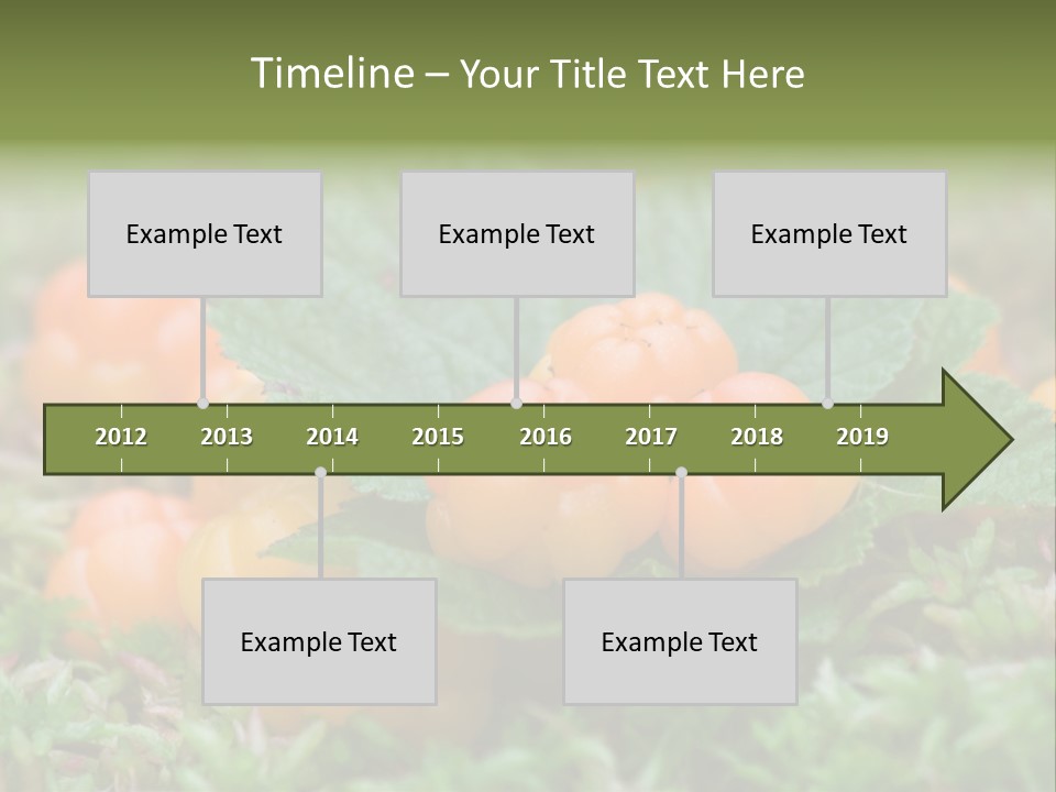 A Group Of Orange Berries Sitting On Top Of Green Leaves PowerPoint Template