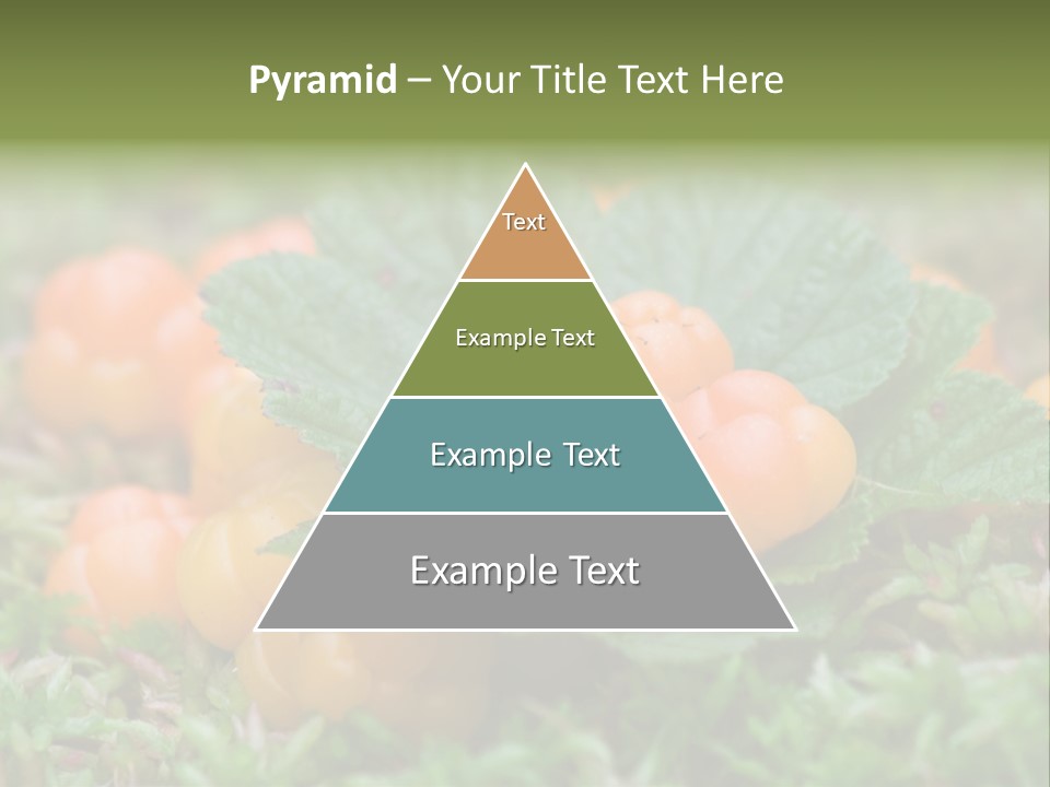 A Group Of Orange Berries Sitting On Top Of Green Leaves PowerPoint Template