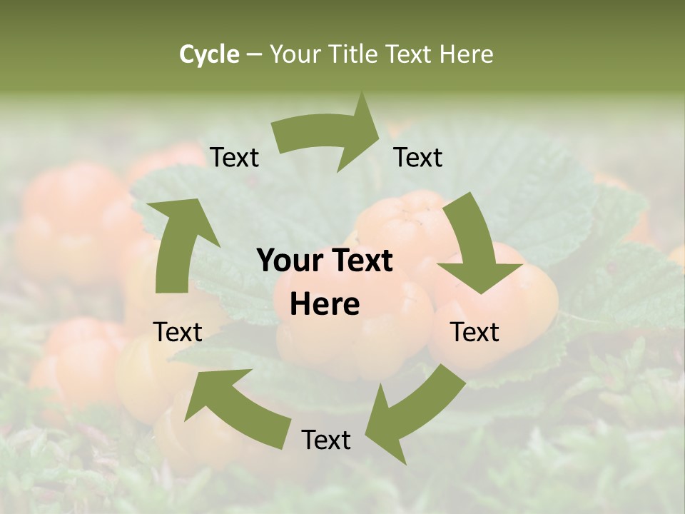 A Group Of Orange Berries Sitting On Top Of Green Leaves PowerPoint Template