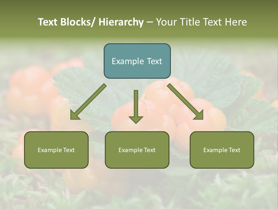 A Group Of Orange Berries Sitting On Top Of Green Leaves PowerPoint Template