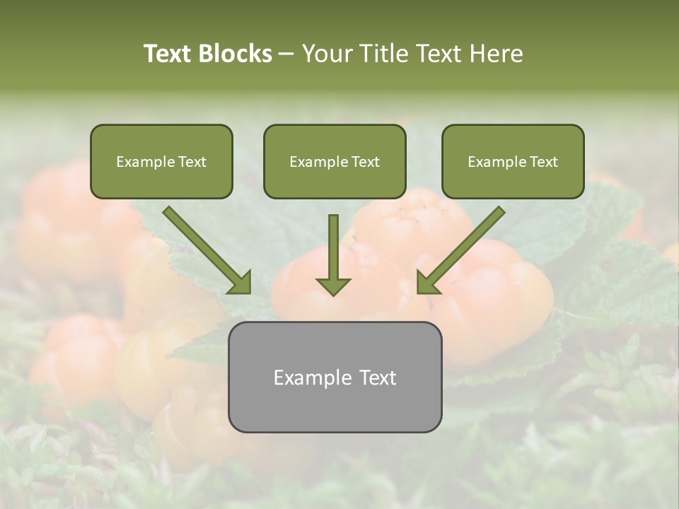 A Group Of Orange Berries Sitting On Top Of Green Leaves PowerPoint Template