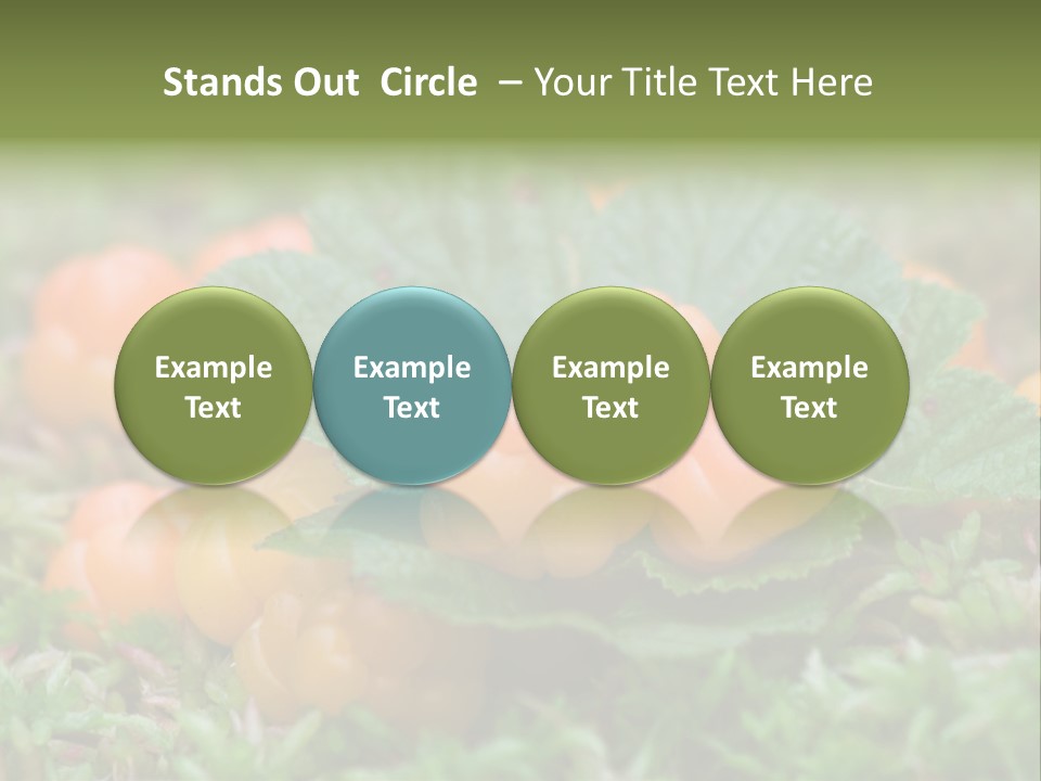 A Group Of Orange Berries Sitting On Top Of Green Leaves PowerPoint Template