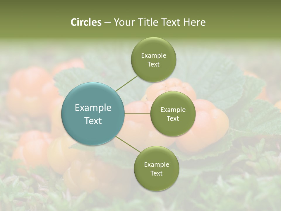 A Group Of Orange Berries Sitting On Top Of Green Leaves PowerPoint Template