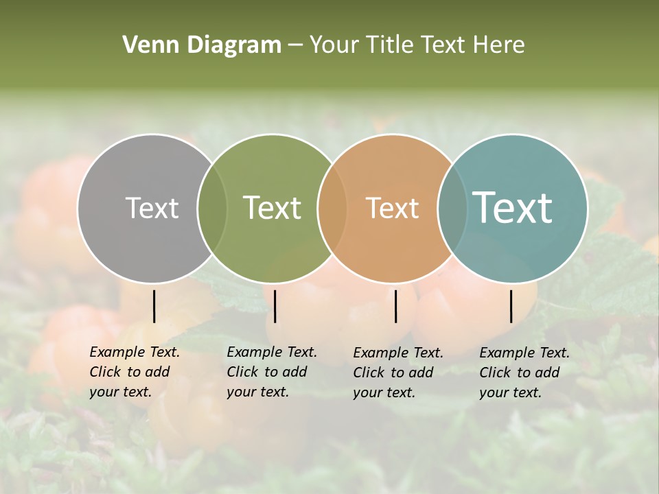 A Group Of Orange Berries Sitting On Top Of Green Leaves PowerPoint Template