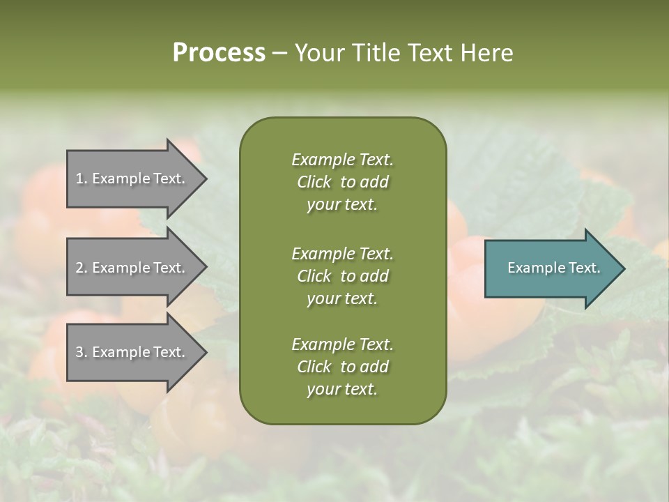 A Group Of Orange Berries Sitting On Top Of Green Leaves PowerPoint Template