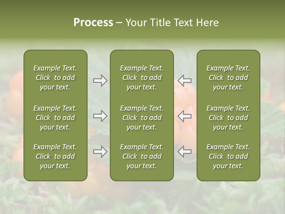 A Group Of Orange Berries Sitting On Top Of Green Leaves PowerPoint Template