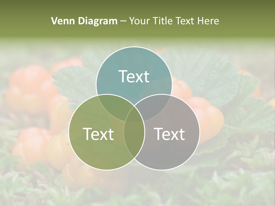 A Group Of Orange Berries Sitting On Top Of Green Leaves PowerPoint Template