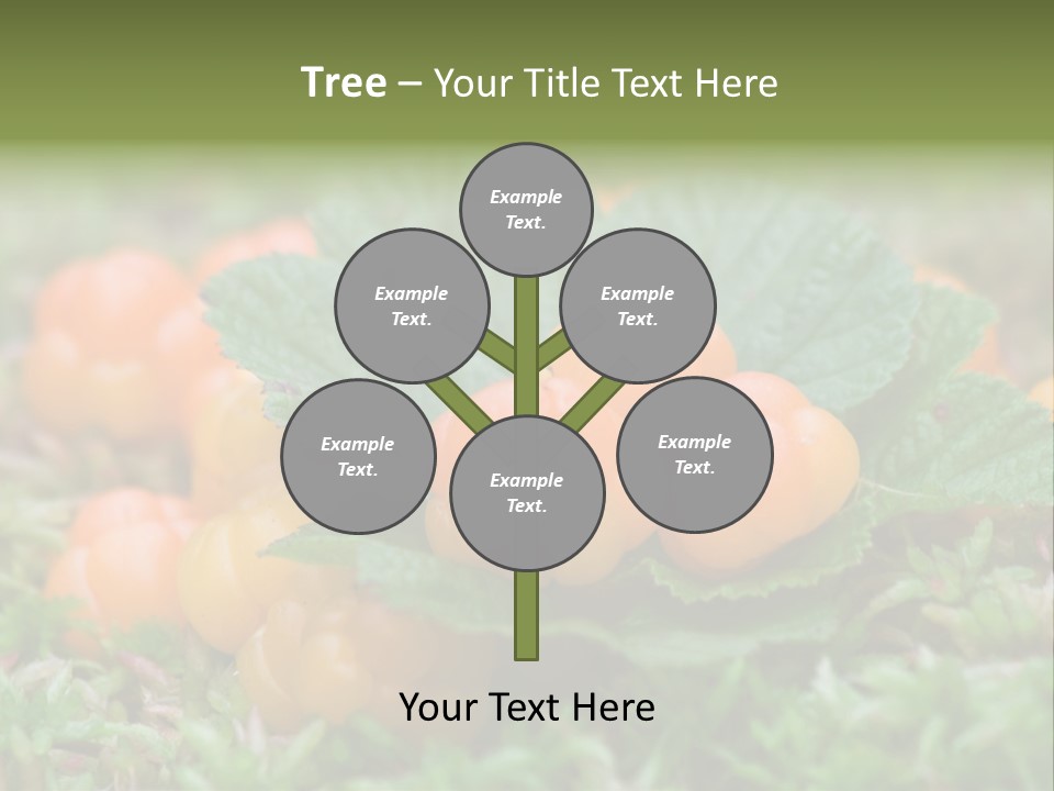 A Group Of Orange Berries Sitting On Top Of Green Leaves PowerPoint Template