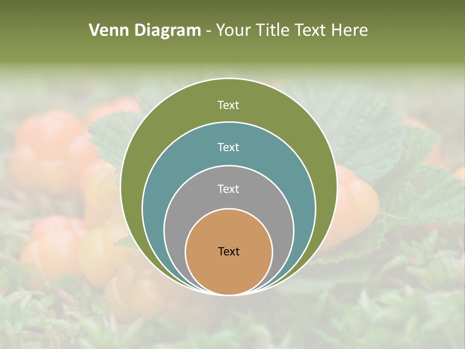 A Group Of Orange Berries Sitting On Top Of Green Leaves PowerPoint Template