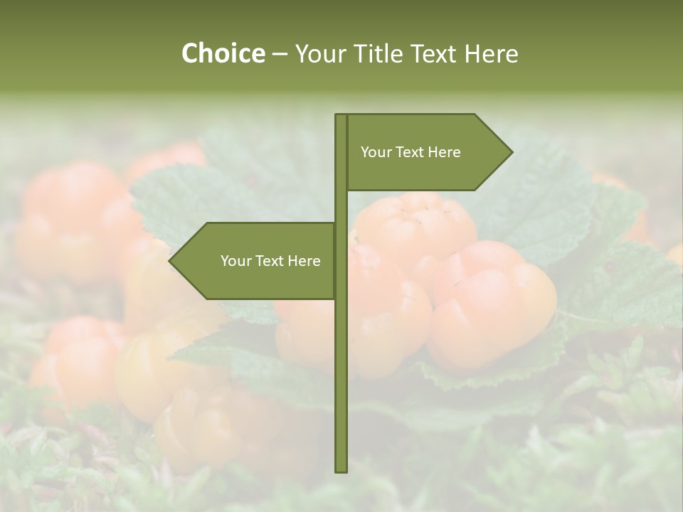 A Group Of Orange Berries Sitting On Top Of Green Leaves PowerPoint Template