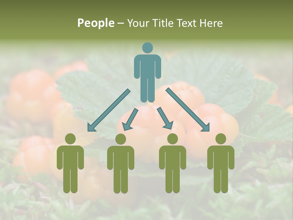 A Group Of Orange Berries Sitting On Top Of Green Leaves PowerPoint Template