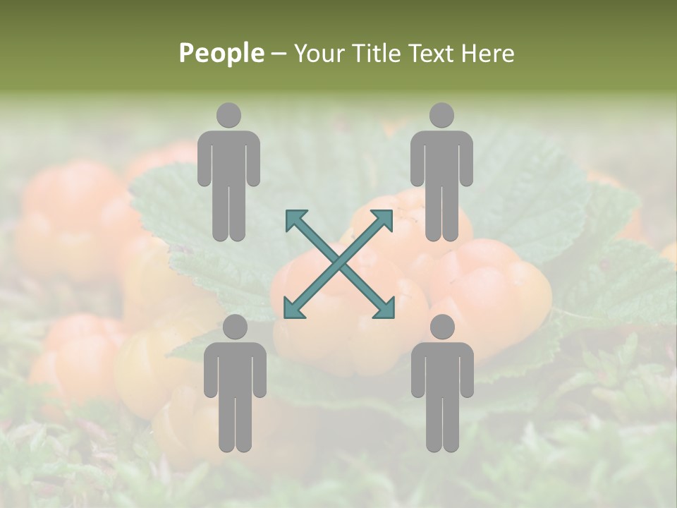 A Group Of Orange Berries Sitting On Top Of Green Leaves PowerPoint Template