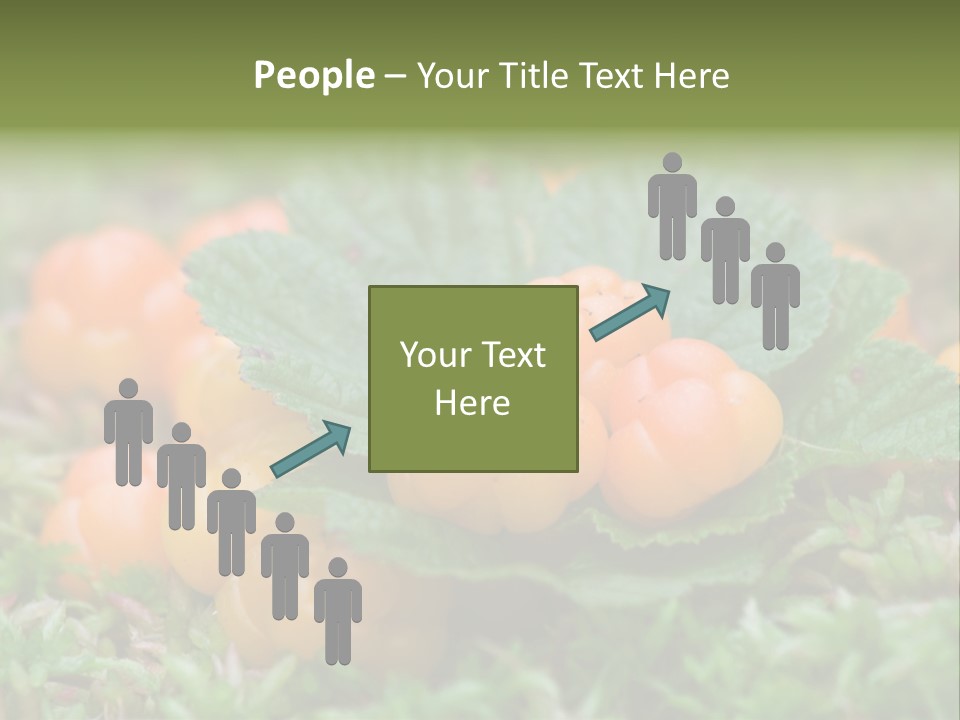 A Group Of Orange Berries Sitting On Top Of Green Leaves PowerPoint Template