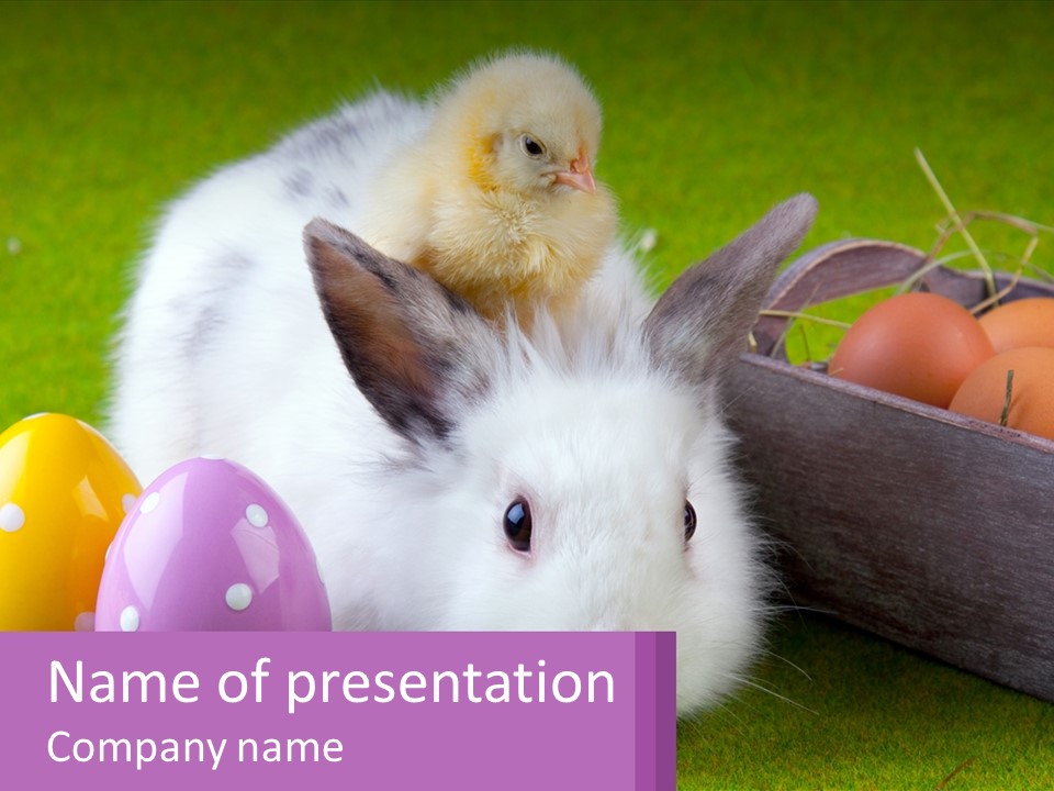 A Small Chicken Sitting On Top Of An Easter Basket PowerPoint Template