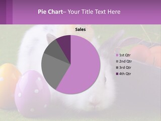 A Small Chicken Sitting On Top Of An Easter Basket PowerPoint Template