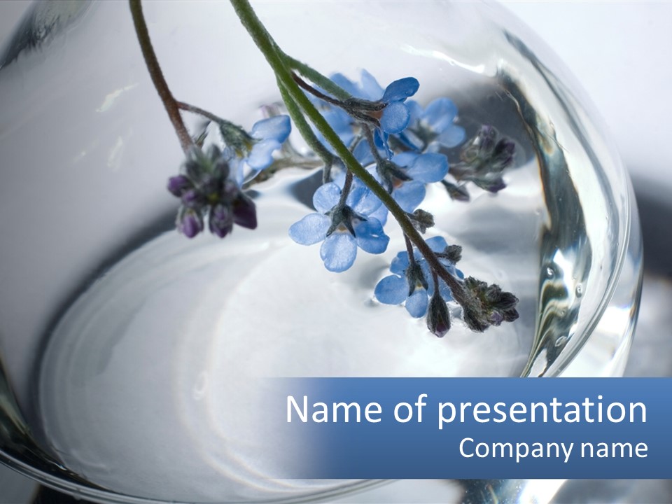 A Glass Vase Filled With Blue Flowers On Top Of A Table PowerPoint Template