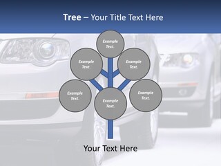A Row Of White Cars In A Showroom PowerPoint Template