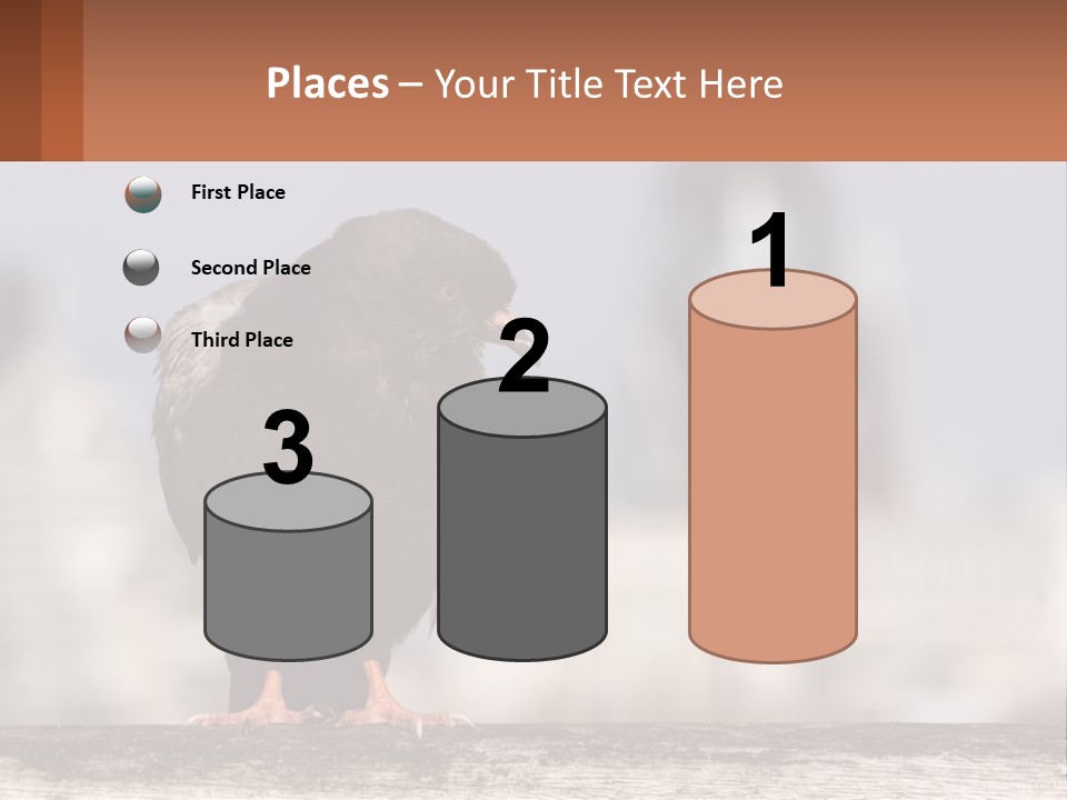 A Black Bird Sitting On Top Of A Wooden Fence PowerPoint Template