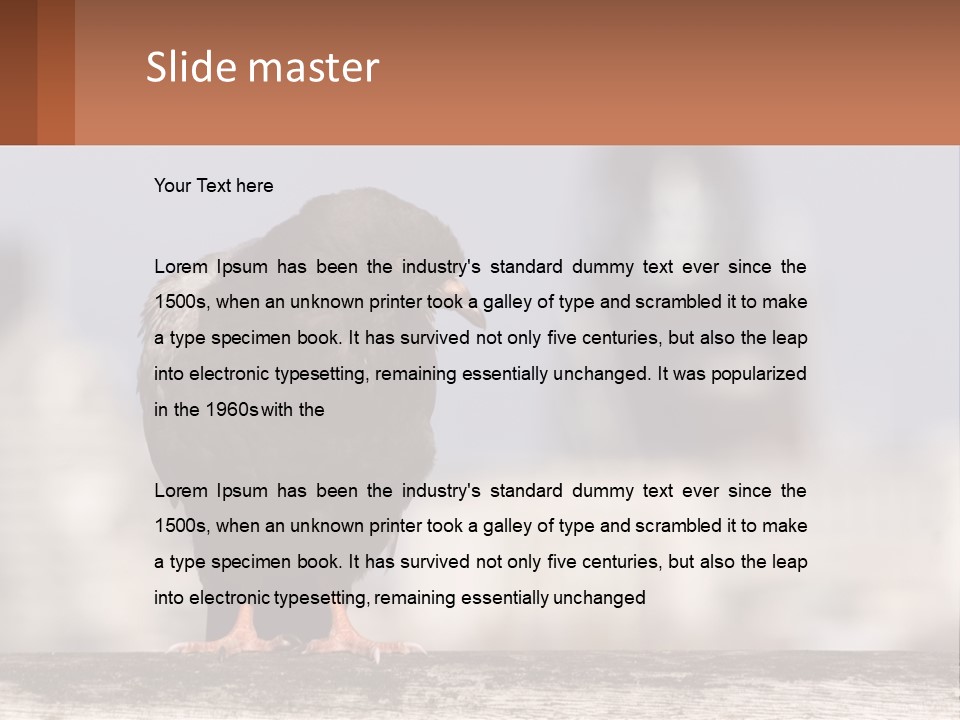 A Black Bird Sitting On Top Of A Wooden Fence PowerPoint Template