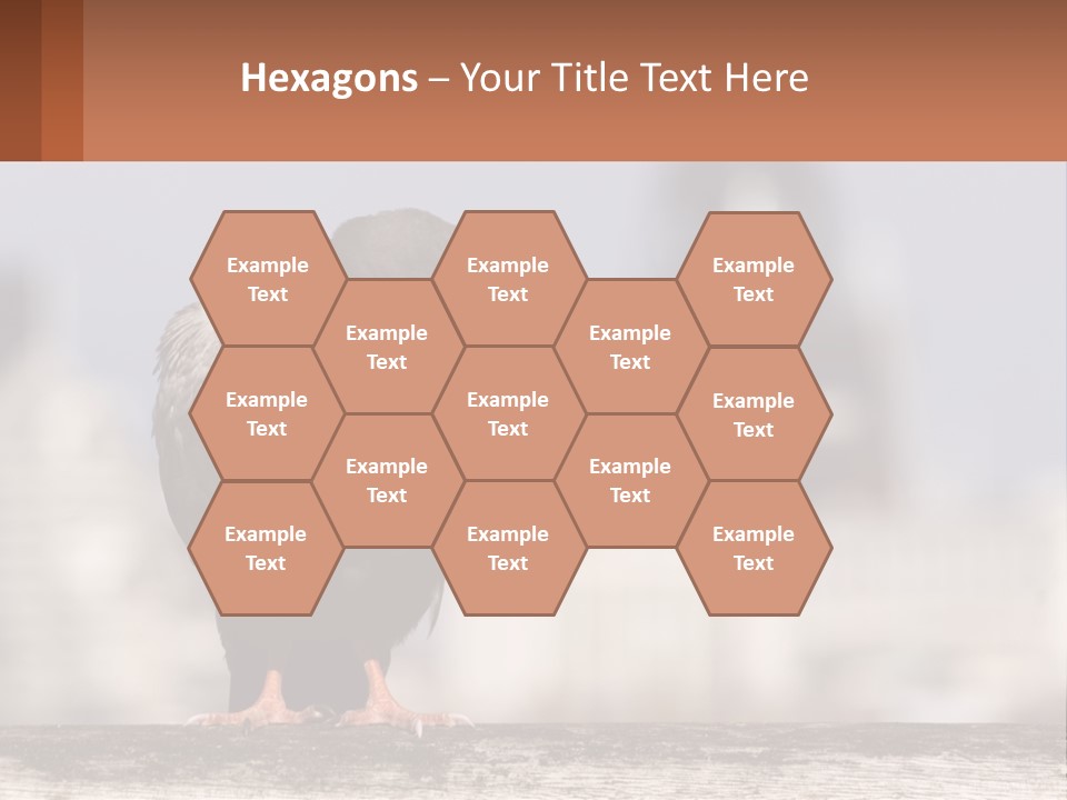 A Black Bird Sitting On Top Of A Wooden Fence PowerPoint Template