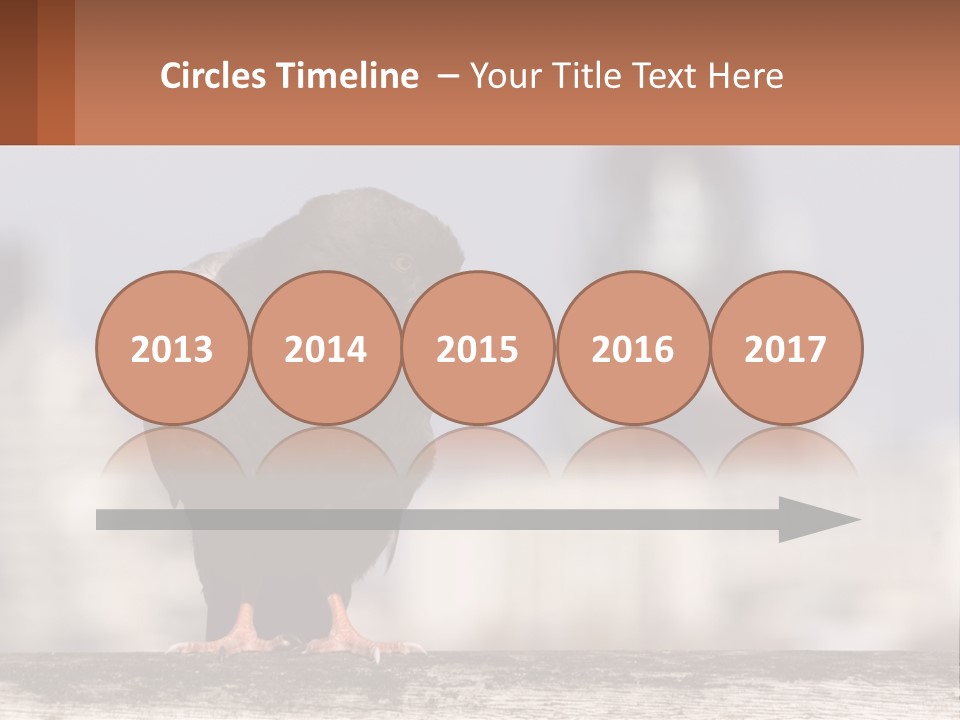 A Black Bird Sitting On Top Of A Wooden Fence PowerPoint Template