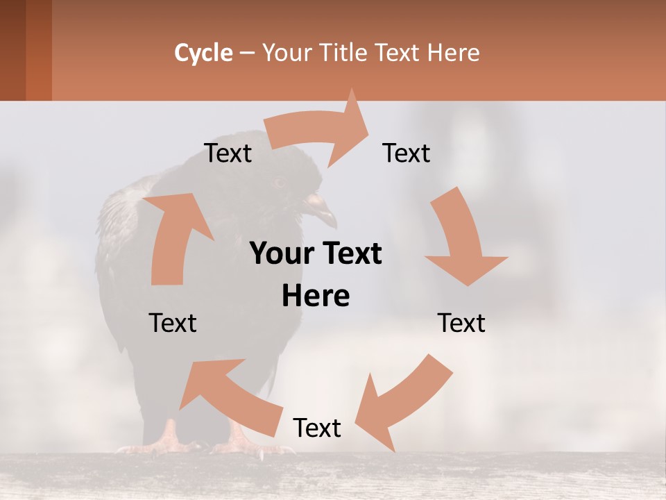 A Black Bird Sitting On Top Of A Wooden Fence PowerPoint Template