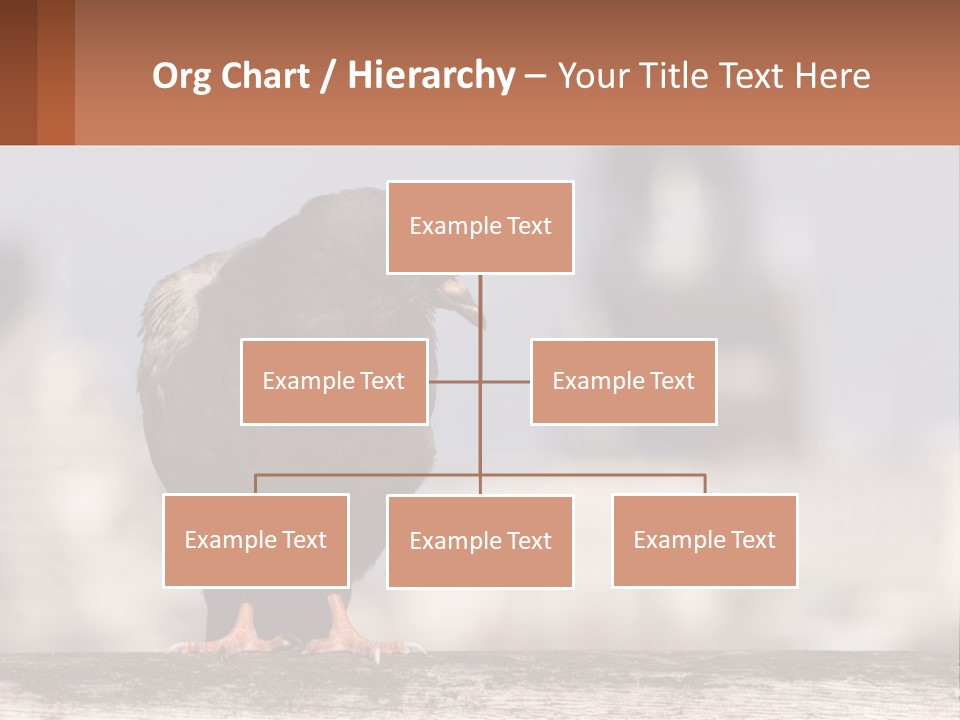 A Black Bird Sitting On Top Of A Wooden Fence PowerPoint Template