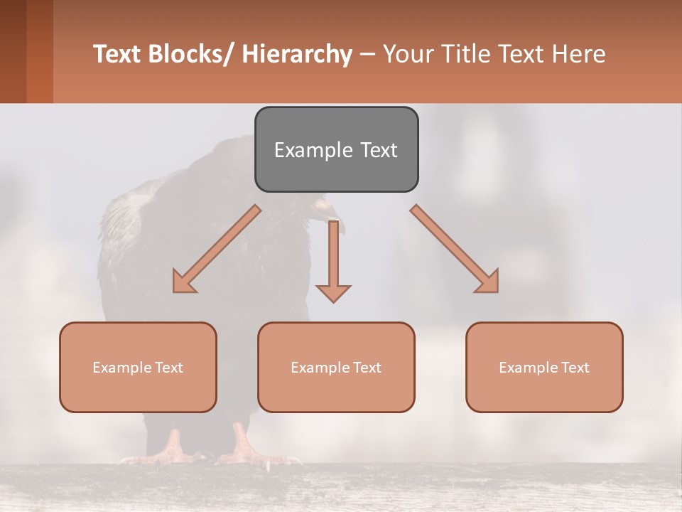 A Black Bird Sitting On Top Of A Wooden Fence PowerPoint Template