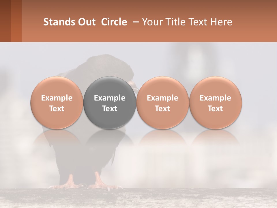 A Black Bird Sitting On Top Of A Wooden Fence PowerPoint Template