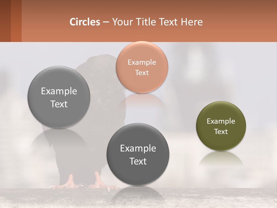 A Black Bird Sitting On Top Of A Wooden Fence PowerPoint Template