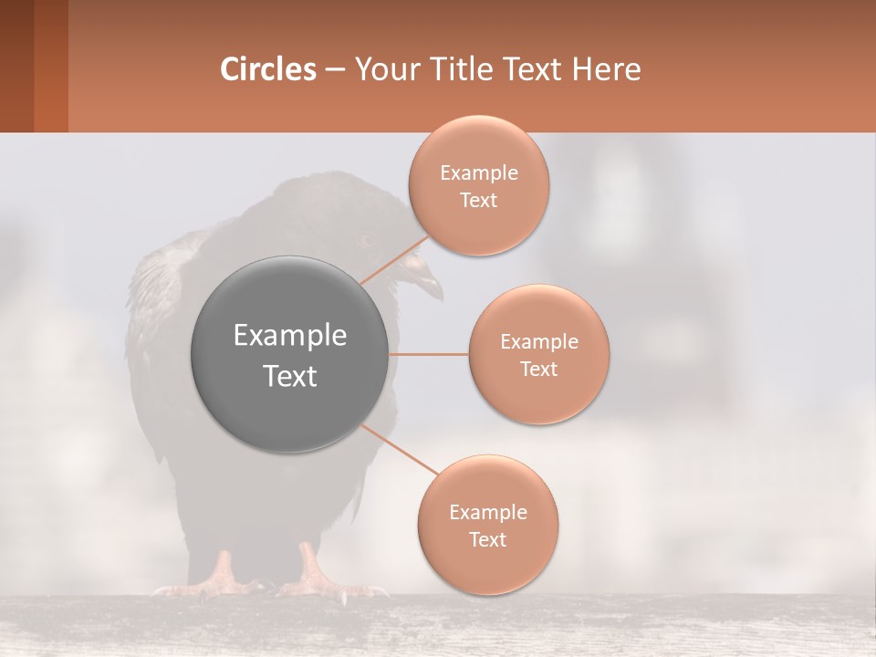 A Black Bird Sitting On Top Of A Wooden Fence PowerPoint Template