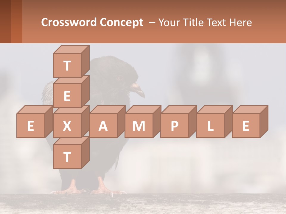 A Black Bird Sitting On Top Of A Wooden Fence PowerPoint Template