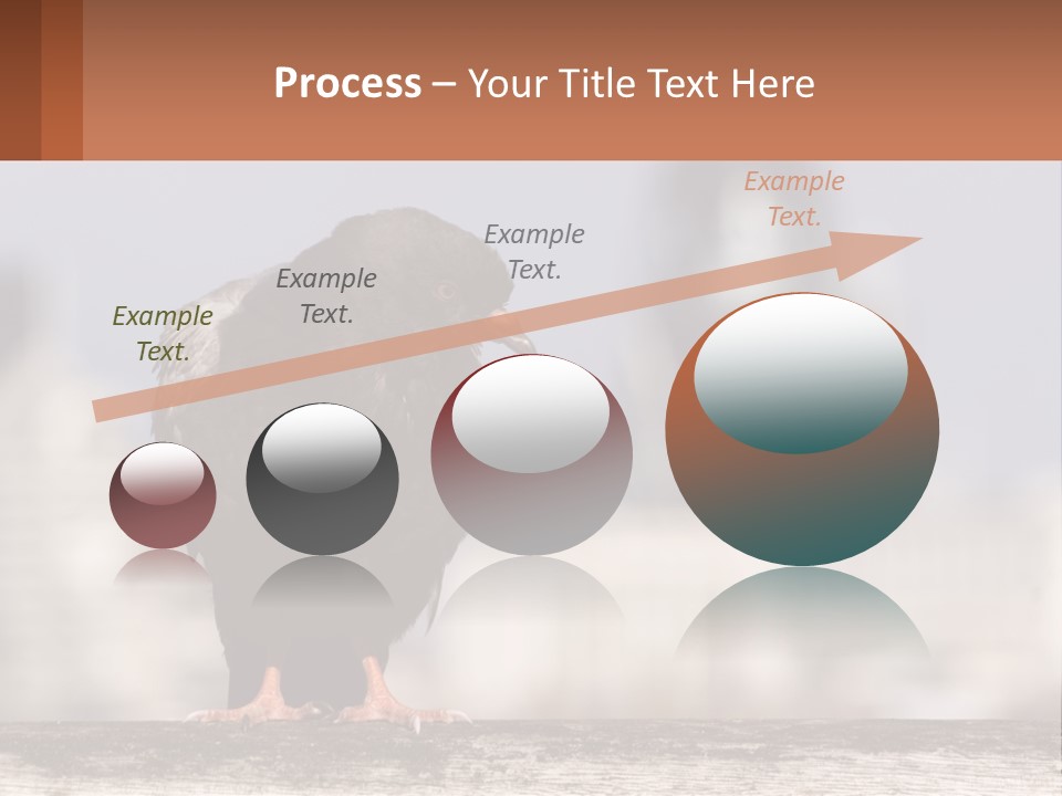 A Black Bird Sitting On Top Of A Wooden Fence PowerPoint Template