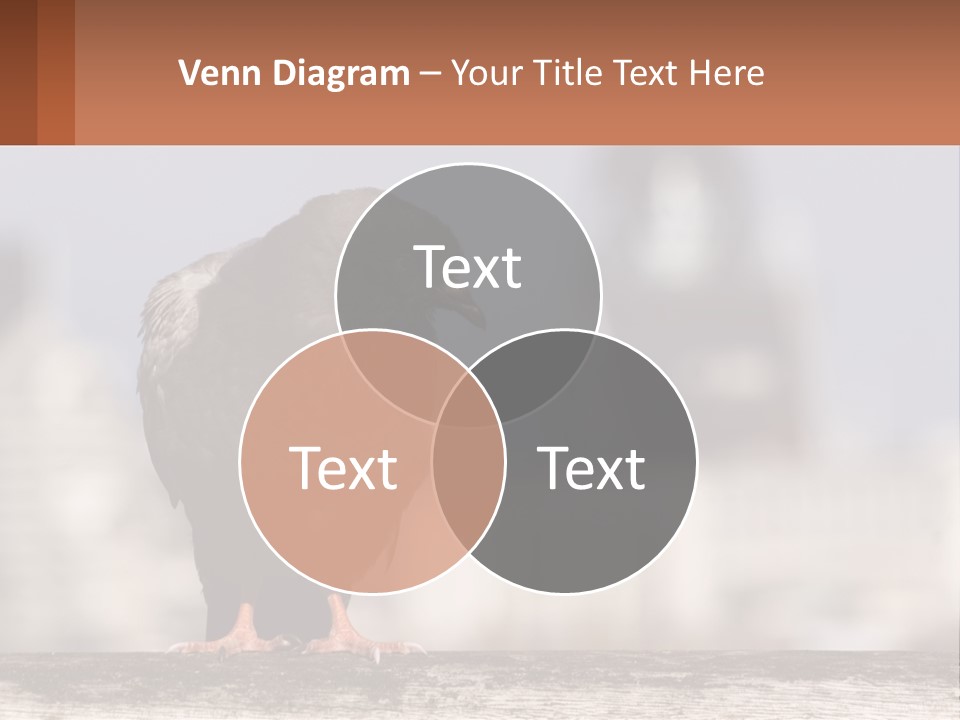 A Black Bird Sitting On Top Of A Wooden Fence PowerPoint Template