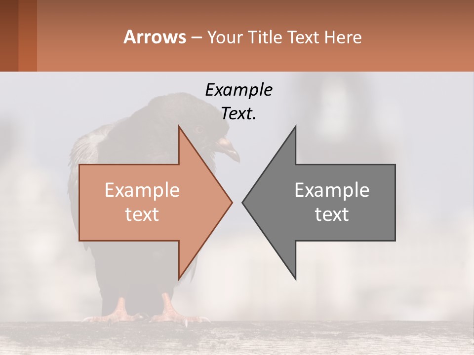 A Black Bird Sitting On Top Of A Wooden Fence PowerPoint Template