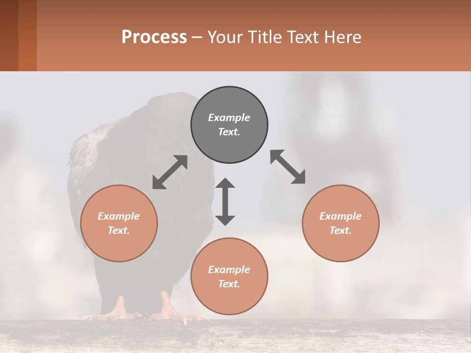 A Black Bird Sitting On Top Of A Wooden Fence PowerPoint Template