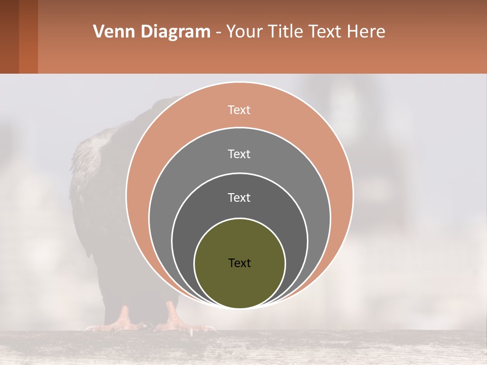 A Black Bird Sitting On Top Of A Wooden Fence PowerPoint Template