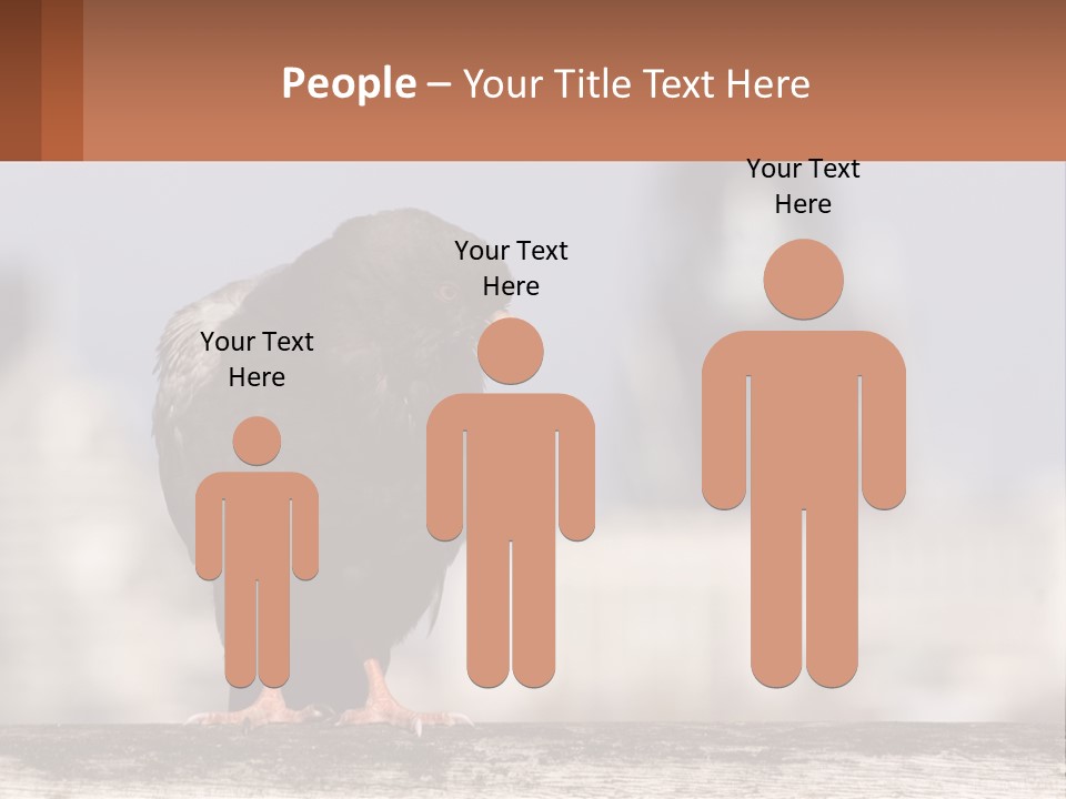 A Black Bird Sitting On Top Of A Wooden Fence PowerPoint Template