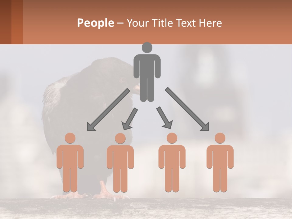 A Black Bird Sitting On Top Of A Wooden Fence PowerPoint Template