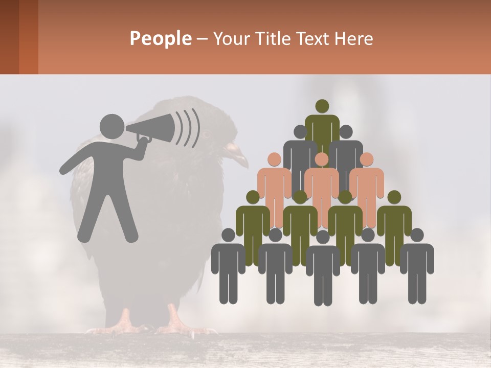 A Black Bird Sitting On Top Of A Wooden Fence PowerPoint Template