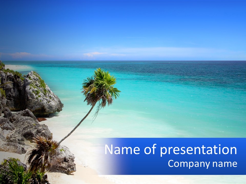 A Beach With A Palm Tree In The Middle Of It PowerPoint Template