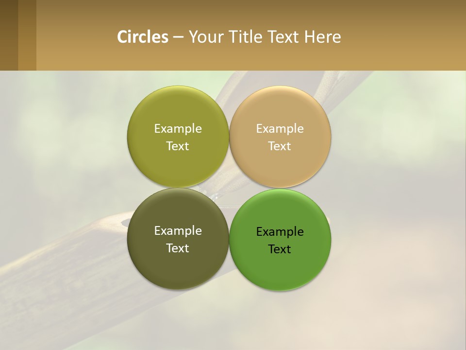 A Drop Of Water Coming Out Of A Wooden Bowl PowerPoint Template