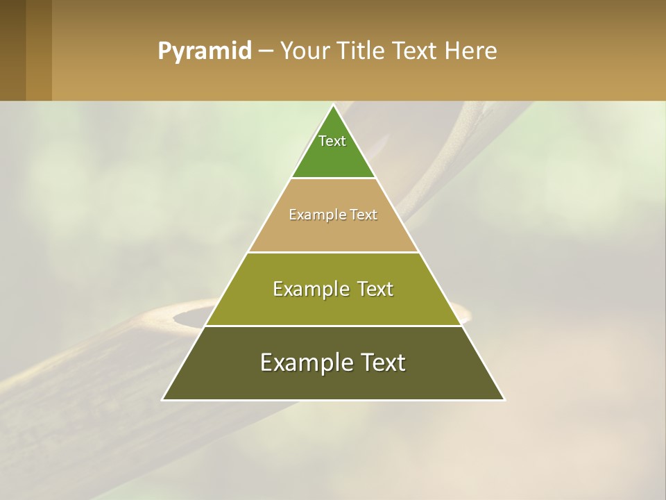 A Drop Of Water Coming Out Of A Wooden Bowl PowerPoint Template