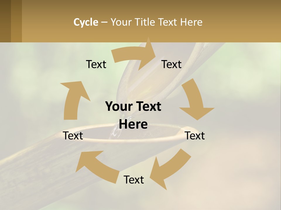 A Drop Of Water Coming Out Of A Wooden Bowl PowerPoint Template