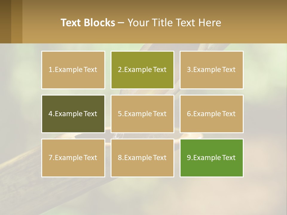 A Drop Of Water Coming Out Of A Wooden Bowl PowerPoint Template