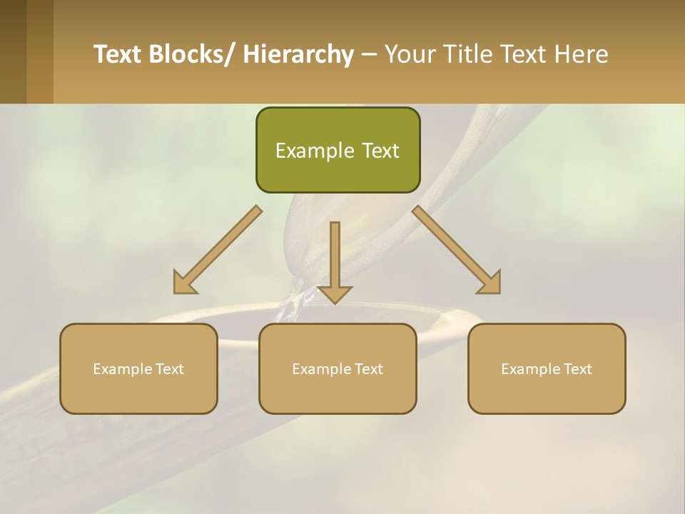 A Drop Of Water Coming Out Of A Wooden Bowl PowerPoint Template