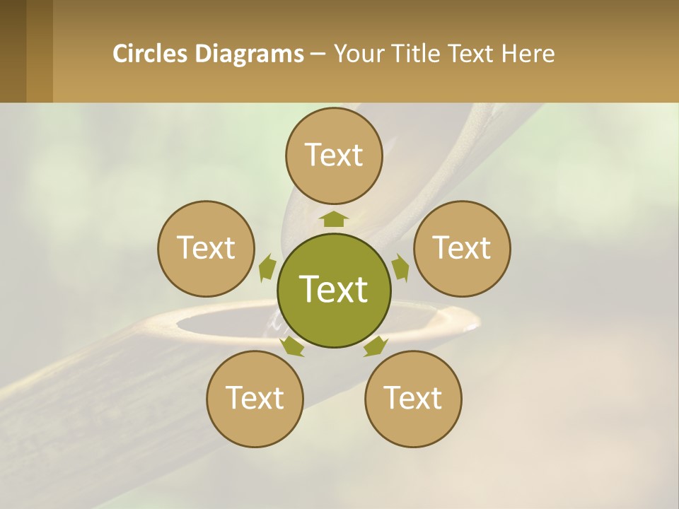 A Drop Of Water Coming Out Of A Wooden Bowl PowerPoint Template